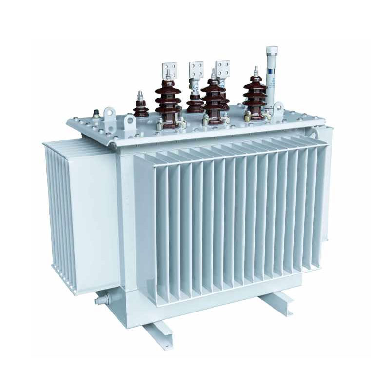 2500KVA kapalinové ponořené distribuční transformátory